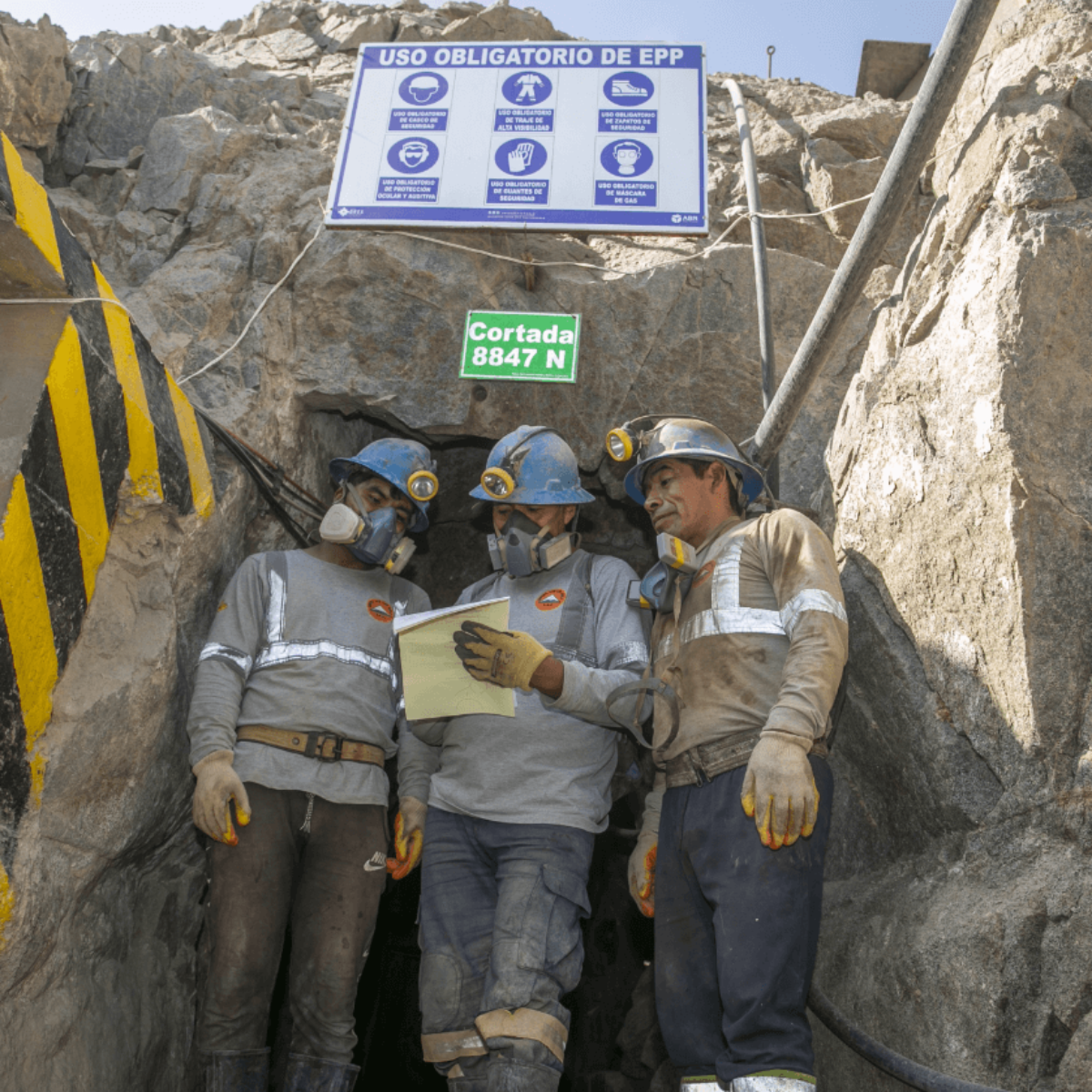 (c) Swiss Better Gold