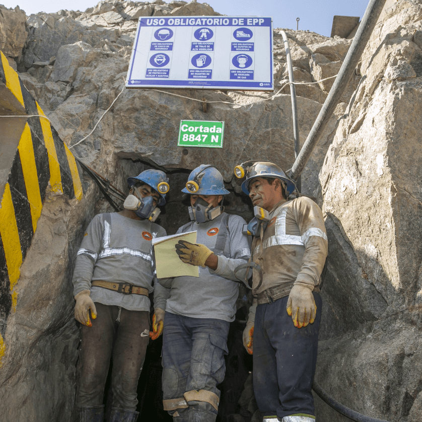 (c) Swiss Better Gold